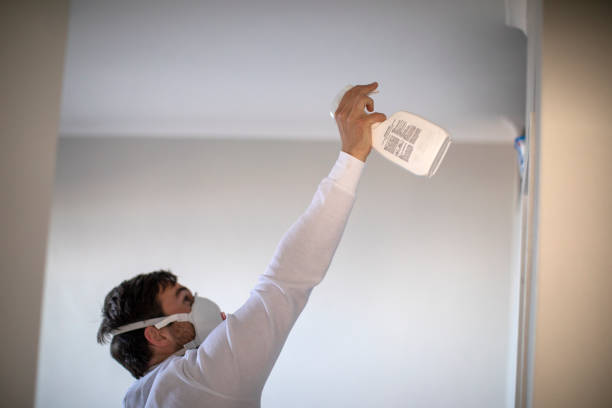 Best Attic Mold Removal  in Dana, NC
