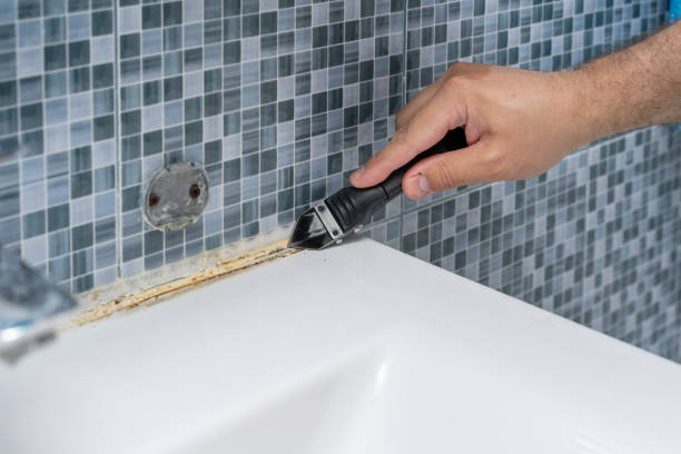 Best Same-Day Mold Removal  in Dana, NC
