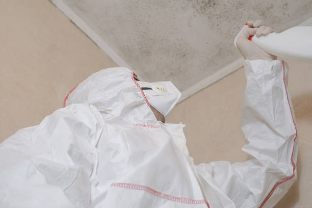 Best Mold Cleaning Services  in Dana, NC